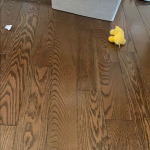 Meet your Posher, Judy